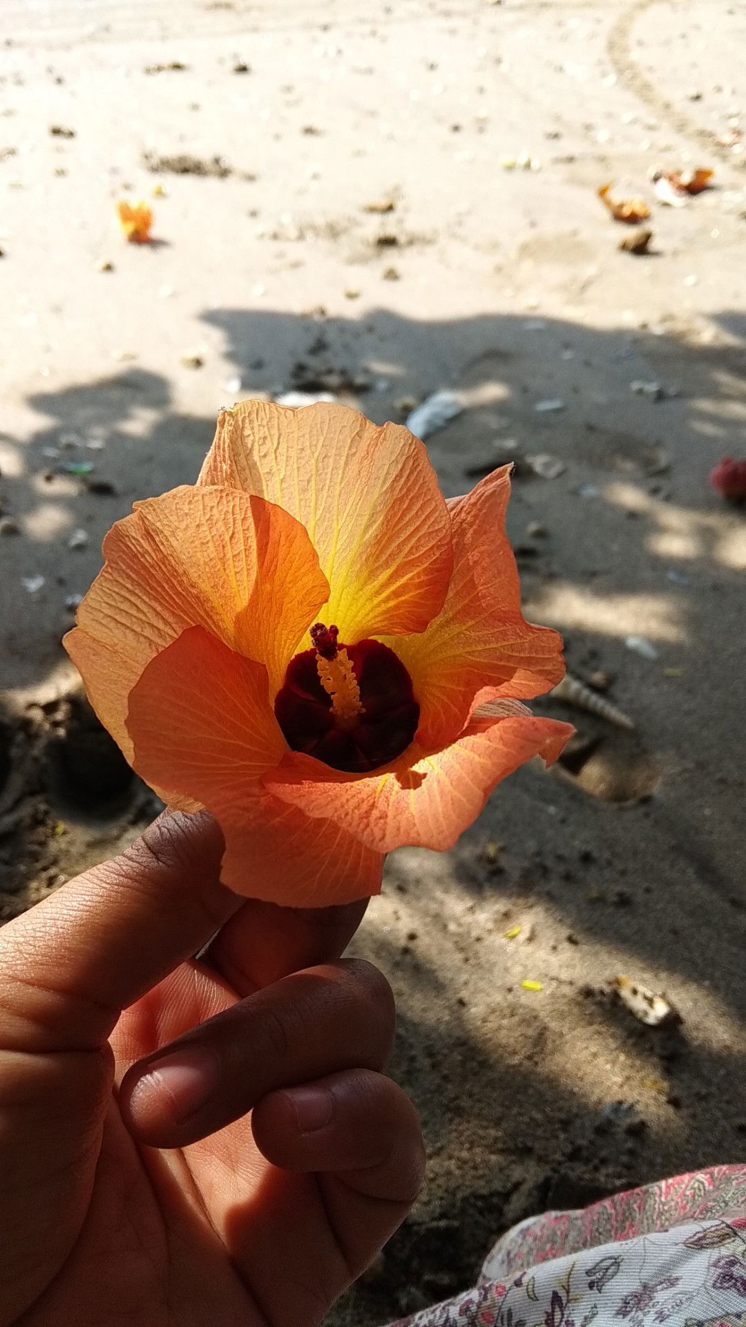 Hafizah Rizka profile icon