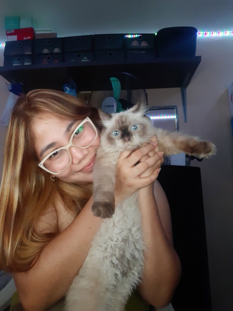 Mabella Roxas profile icon