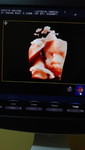 Efie Susanti profile icon