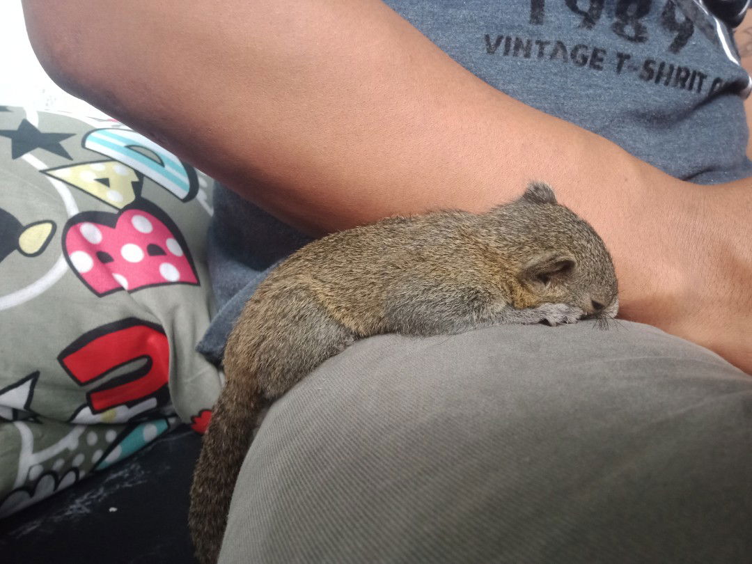 Aom Banna Sakonsupha Suksawat profile icon