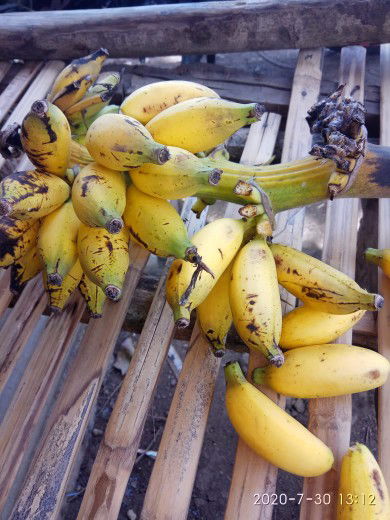 Nyonya Ds profile icon