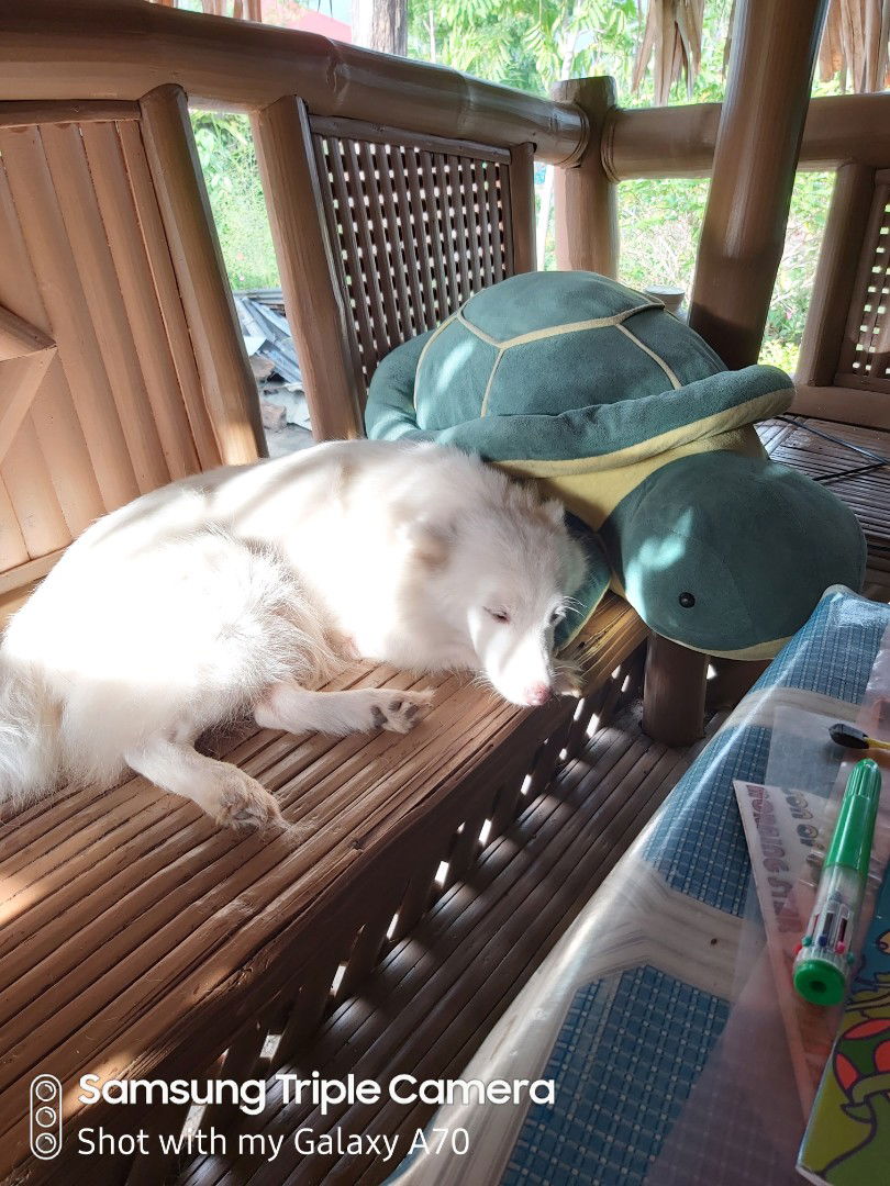 Tintin Garcia profile icon