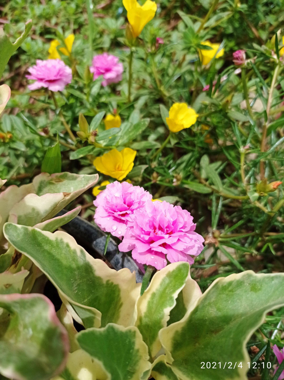 Rini Surianti profile icon