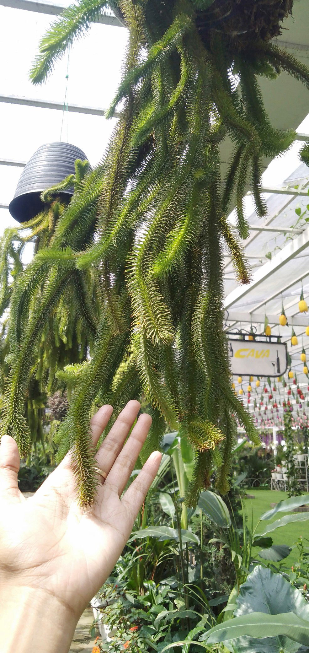 God Blessed Me profile icon