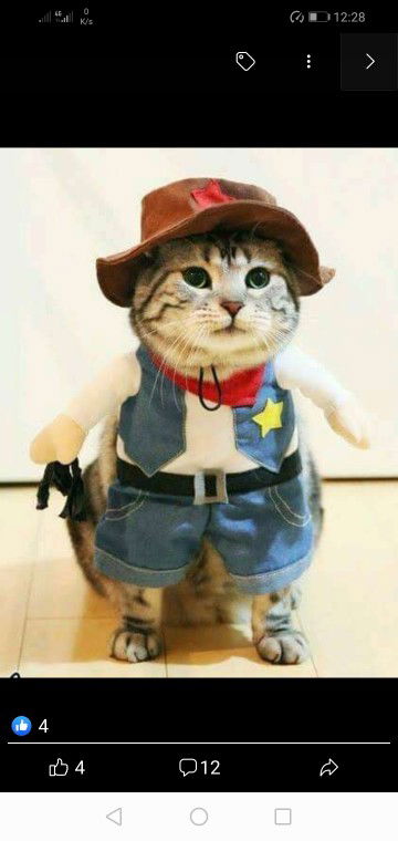 syazarin profile icon