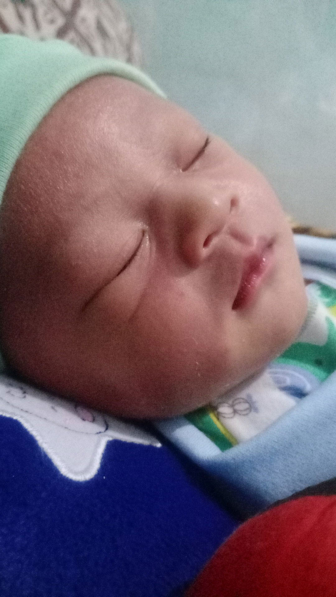 Selvia Anatasya profile icon