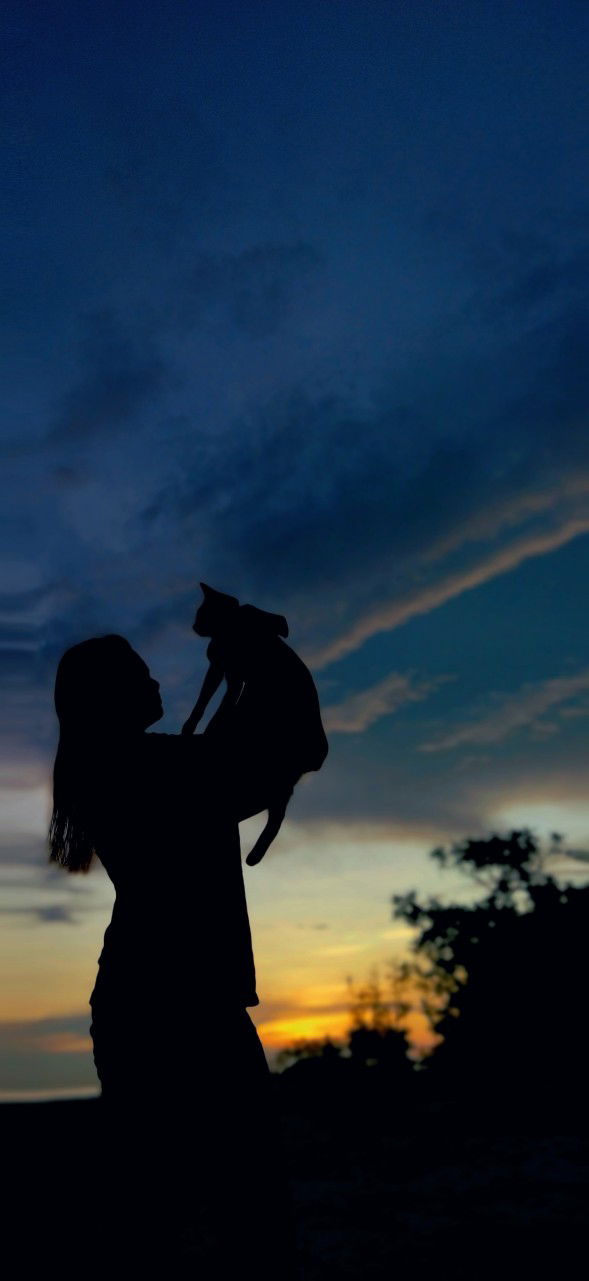 Nita Ibrahim profile icon