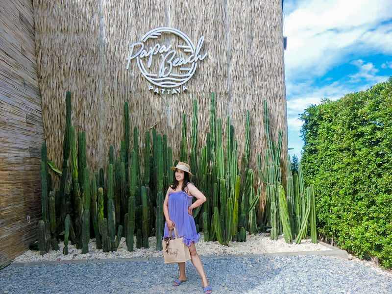 Thitikan sarnpaisit profile icon