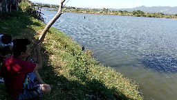 Lovelove profile icon