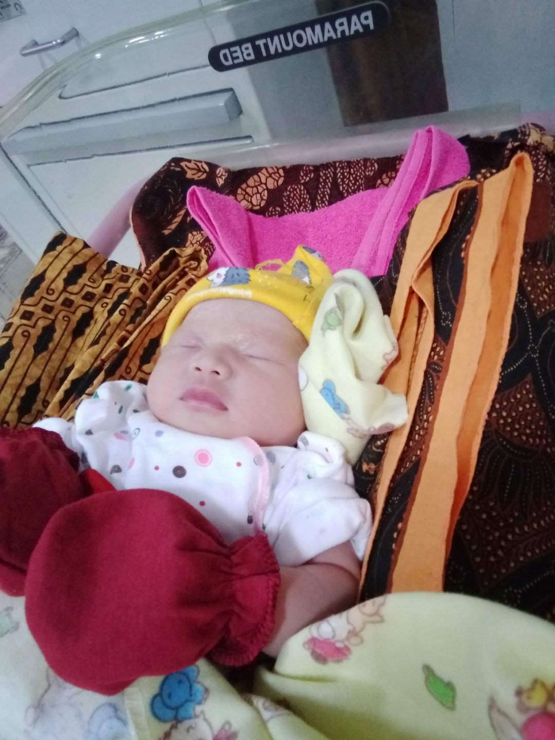 Fitriana Alaikha profile icon