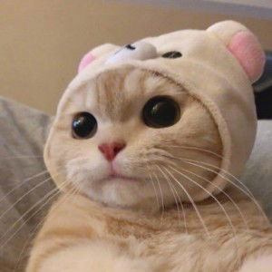 Ikmalrizal Ikmalrizalzainal profile icon