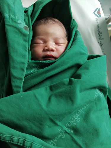 ทีมตุลา