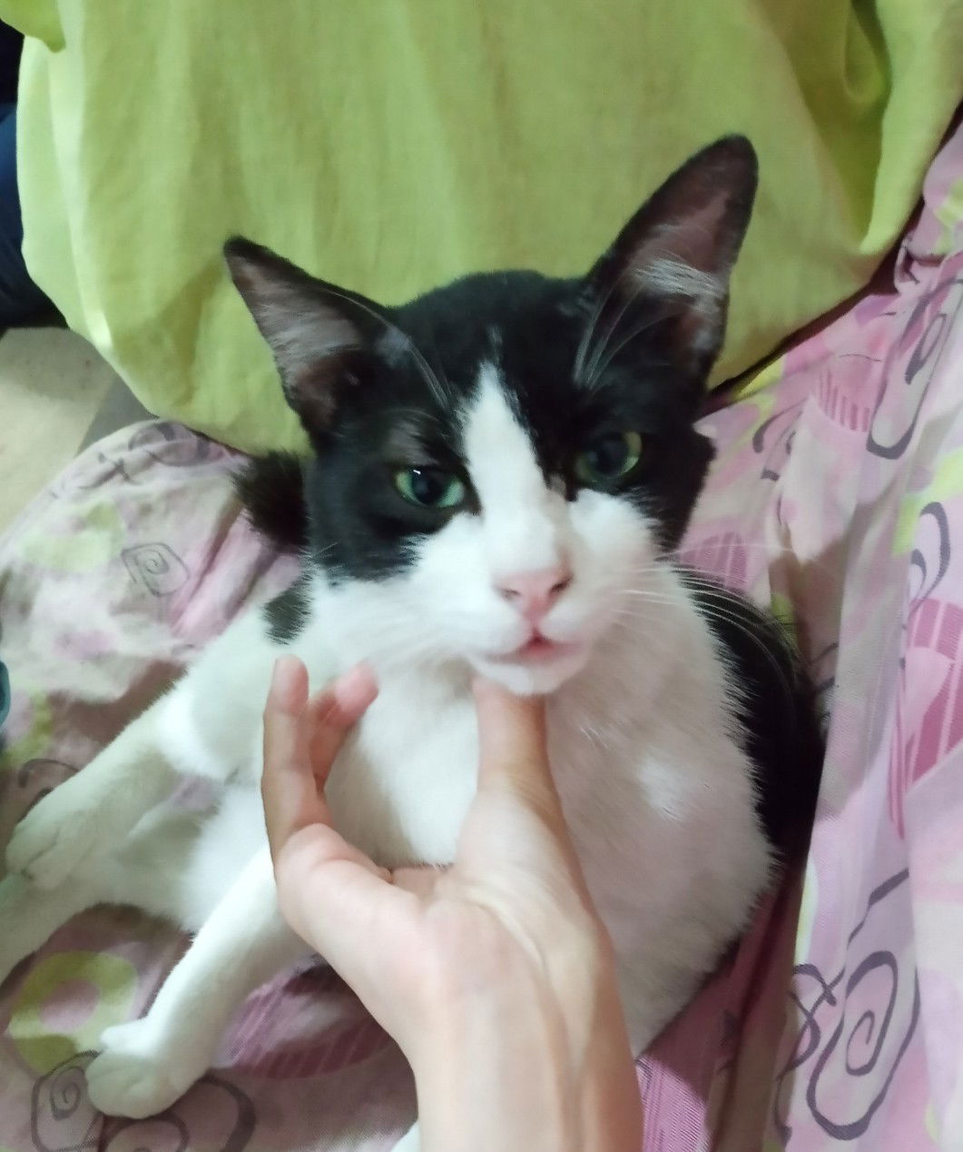 Nur Ain Hafizuddin profile icon