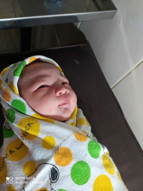 Bb 3,7kg Panjang 49cm