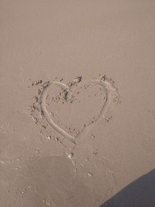 Esti Chi profile icon