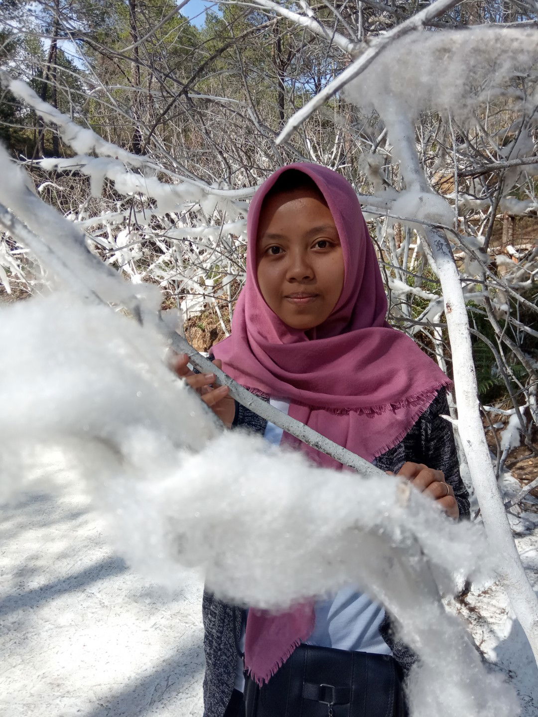 Susi Ayu Wijayanti profile icon