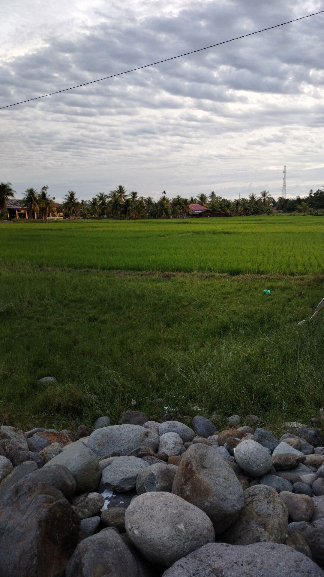 Ni'ma fithria profile icon