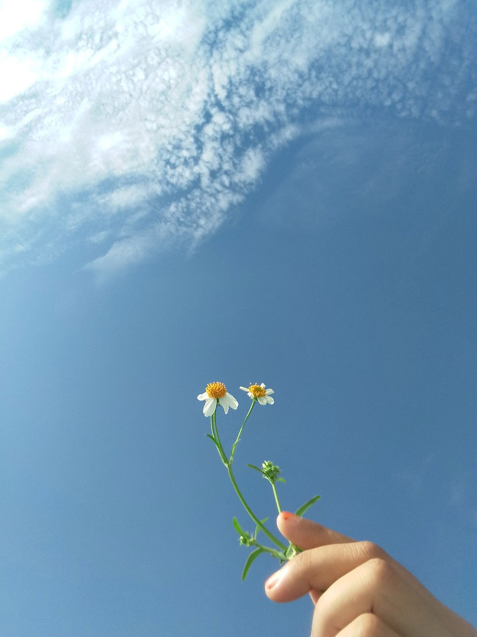 ana muslimah profile icon