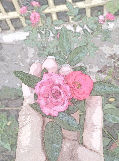 Fasya Aliyah Zahranti profile icon