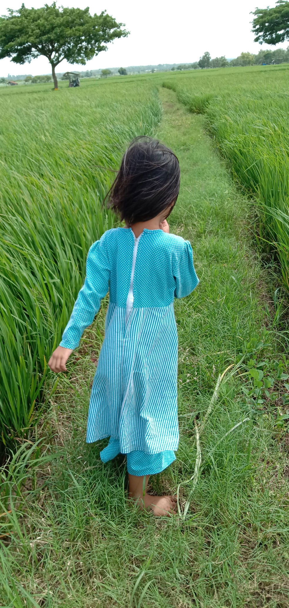 Tri Jaya profile icon