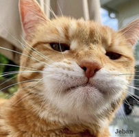 Piyawan Buran profile icon