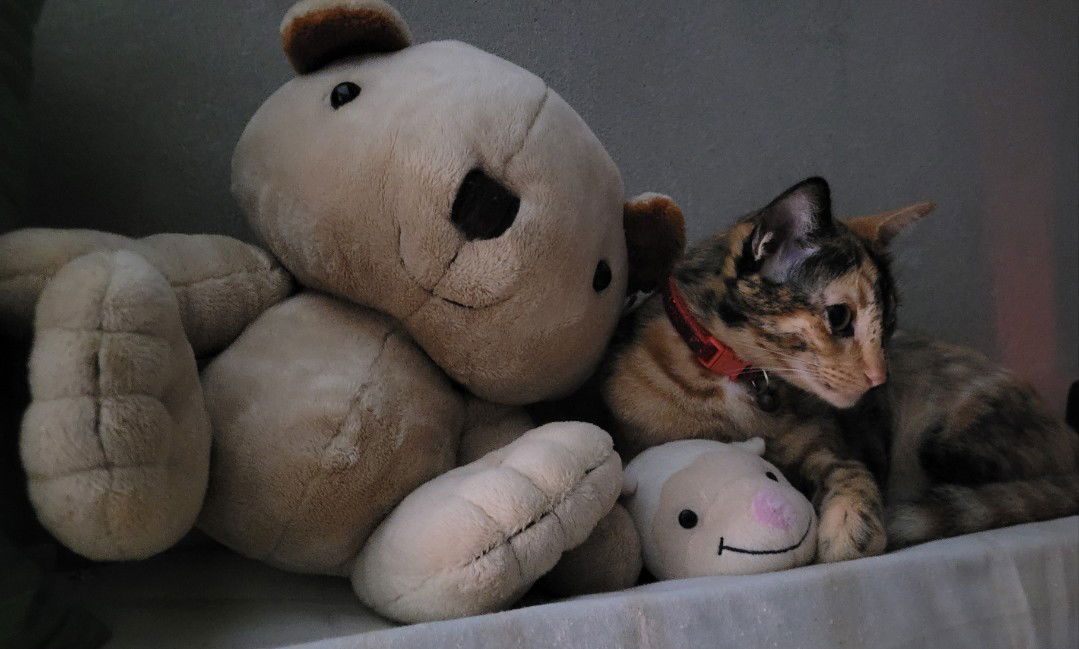 Passa Assa profile icon