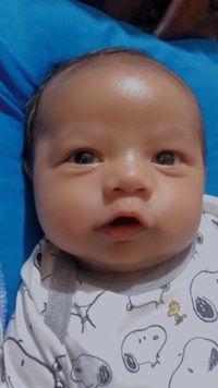 Zulkiatul evi Rahmi profile icon