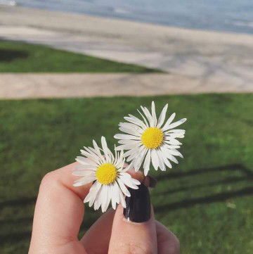 Kim Duyên Cao profile icon