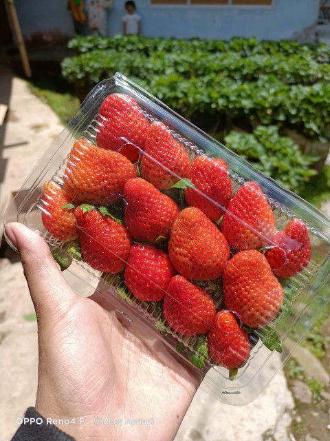 putri indah sari profile icon