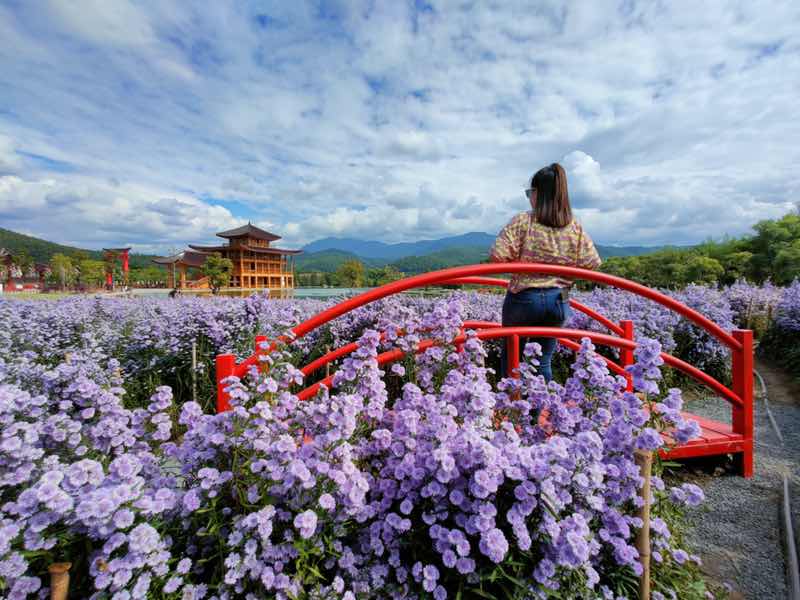 Rutchataporn Meepian profile icon