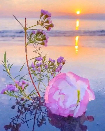 Khafiifaah profile icon