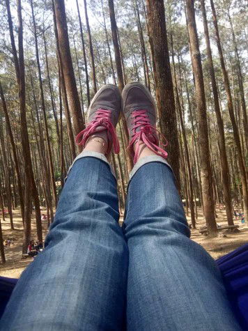 rini chandra profile icon