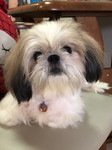 Sililux Songsinviboon profile icon