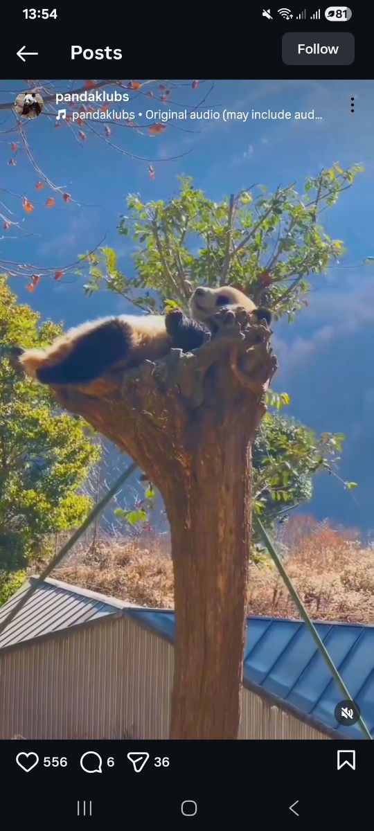 Meilan Monika profile icon