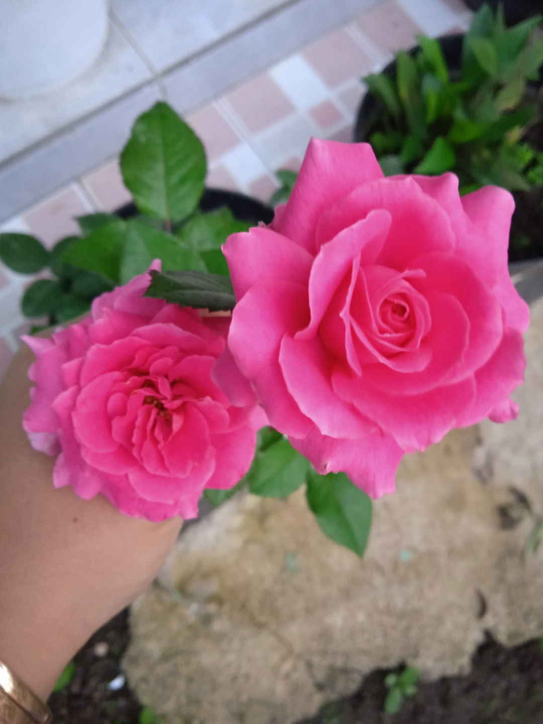 novia aini pratiwi profile icon