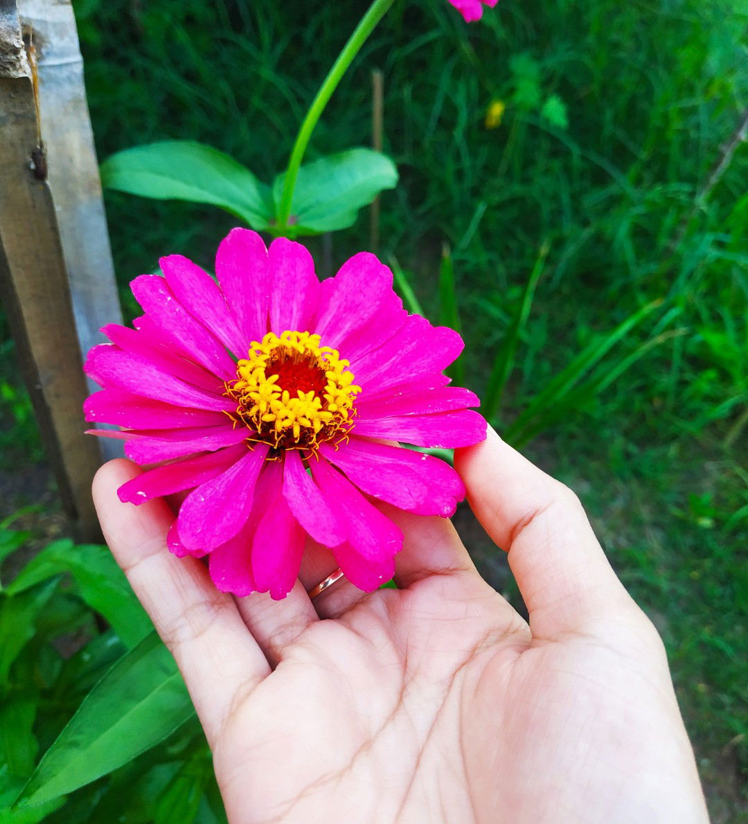 Neng Ulie Ajah profile icon