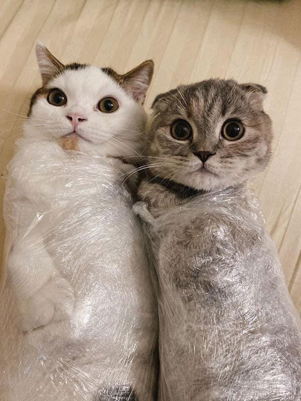 Been Been profile icon