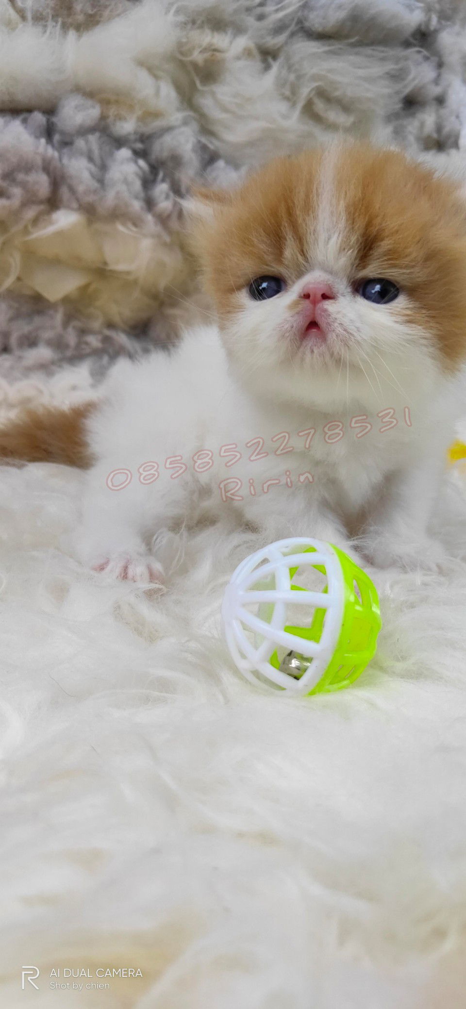 Ririn Susanti profile icon