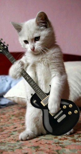 Cahaya Bulan profile icon