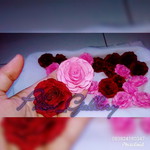 Fifit Fitriyani profile icon