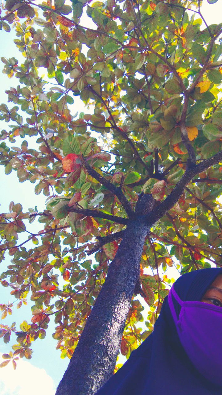 Ny Suharlan profile icon