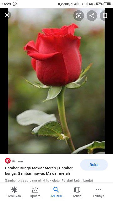 Nisrina aysura profile icon