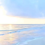 Nurlita Meiyanti profile icon