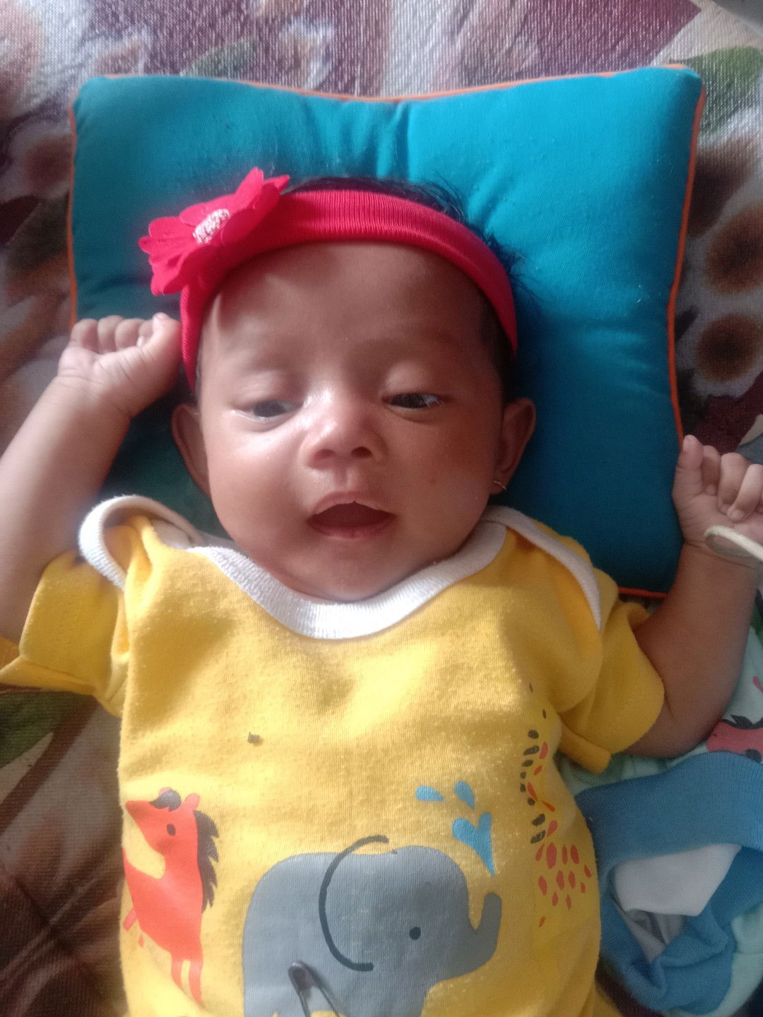 Sri Ani Rangkuty profile icon