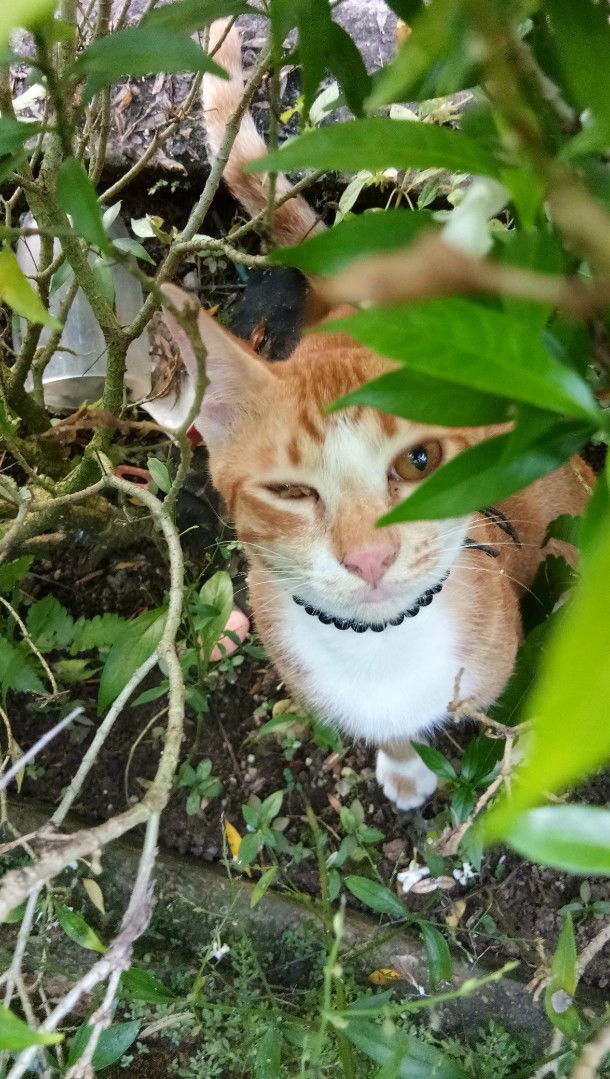 s. yanti profile icon