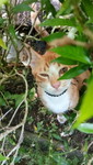 s. yanti profile icon