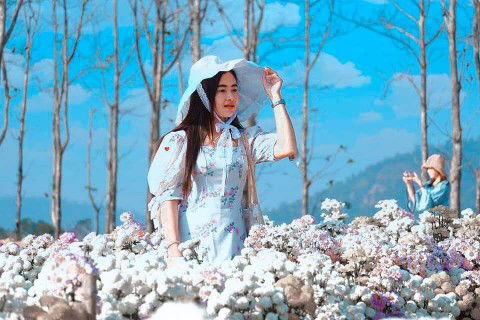 มามี้ มือใหม่ profile icon