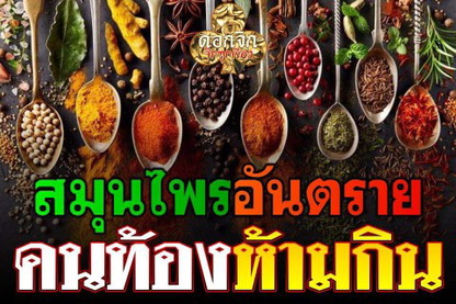 สมุนไพรที่คนท้องไม่ควรกิน