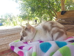 ตัวเล็ก นุ่มนิ่ม profile icon