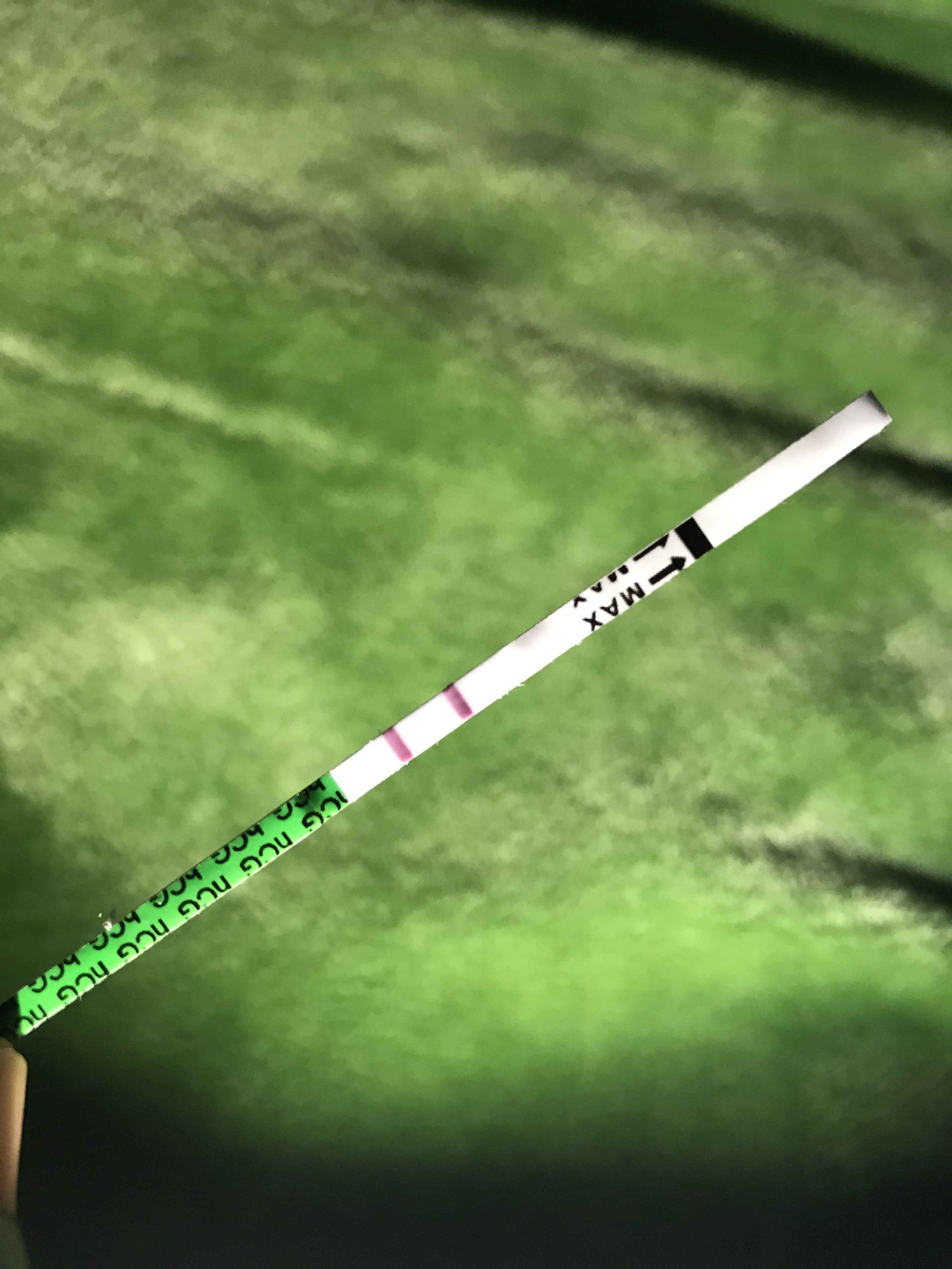 memory❤️❤️ profile icon